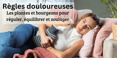 Règles douloureuses: les plantes et bourgeons pour réguler, équilibrer et soulager